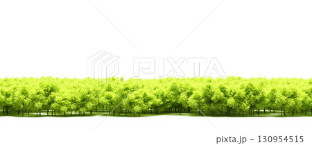tree, isolated, branch, large, nature, plant, background, garden, forest, stem, summer, transparent, green, environment, foliage, shadow, big, leaf, season, wood, object, natural, single, silhouette, tree, isolated, branch, large, nature, plant, background, garden, forest, stem, summer, transparent, green, environment, foliage, shadow, big, leaf, season, wood, object, natural, single, silhouette, 130954515