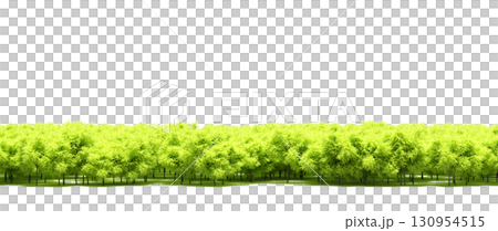 tree, isolated, branch, large, nature, plant, background, garden, forest, stem, summer, transparent, green, environment,  foliage, shadow, big, leaf, season, wood, object, natural, single, silhouette, 130954515