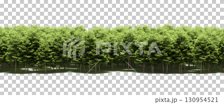 tree, isolated, branch, large, nature, plant, background, garden, forest, stem, summer, transparent, green, environment, foliage, shadow, big, leaf, season, wood, object, natural, single, silhouette, tree, isolated, branch, large, nature, plant, background, garden, forest, stem, summer, transparent, green, environment, foliage, shadow, big, leaf, season, wood, object, natural, single, silhouette, 130954521