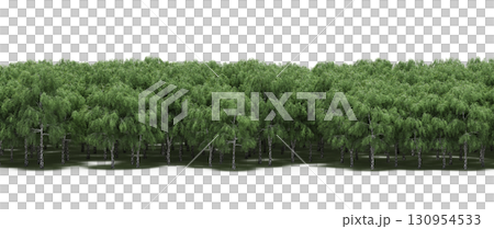 tree, isolated, branch, large, nature, plant, background, garden, forest, stem, summer, transparent, green, environment, foliage, shadow, big, leaf, season, wood, object, natural, single, silhouette, tree, isolated, branch, large, nature, plant, background, garden, forest, stem, summer, transparent, green, environment, foliage, shadow, big, leaf, season, wood, object, natural, single, silhouette, 130954533