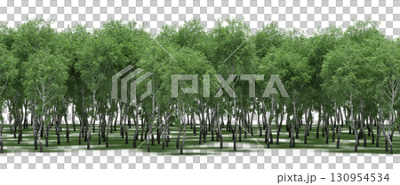 tree, isolated, branch, large, nature, plant, background, garden, forest, stem, summer, transparent, green, environment, foliage, shadow, big, leaf, season, wood, object, natural, single, silhouette, tree, isolated, branch, large, nature, plant, background, garden, forest, stem, summer, transparent, green, environment, foliage, shadow, big, leaf, season, wood, object, natural, single, silhouette, 130954534