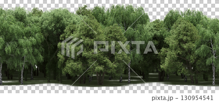 tree, isolated, branch, large, nature, plant, background, garden, forest, stem, summer, transparent, green, environment,  foliage, shadow, big, leaf, season, wood, object, natural, single, silhouette, 130954541