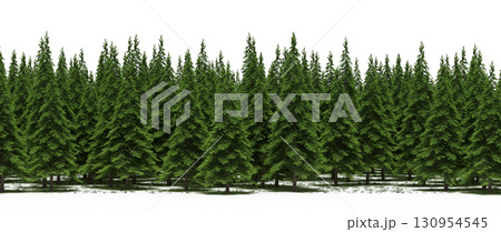 tree, isolated, branch, large, nature, plant, background, garden, forest, stem, summer, transparent, green, environment, foliage, shadow, big, leaf, season, wood, object, natural, single, silhouette, tree, isolated, branch, large, nature, plant, background, garden, forest, stem, summer, transparent, green, environment, foliage, shadow, big, leaf, season, wood, object, natural, single, silhouette, 130954545