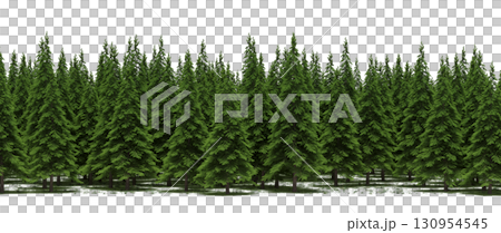 tree, isolated, branch, large, nature, plant, background, garden, forest, stem, summer, transparent, green, environment, foliage, shadow, big, leaf, season, wood, object, natural, single, silhouette, tree, isolated, branch, large, nature, plant, background, garden, forest, stem, summer, transparent, green, environment, foliage, shadow, big, leaf, season, wood, object, natural, single, silhouette, 130954545
