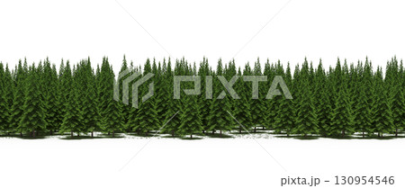 tree, isolated, branch, large, nature, plant, background, garden, forest, stem, summer, transparent, green, environment, foliage, shadow, big, leaf, season, wood, object, natural, single, silhouette, tree, isolated, branch, large, nature, plant, background, garden, forest, stem, summer, transparent, green, environment, foliage, shadow, big, leaf, season, wood, object, natural, single, silhouette, 130954546
