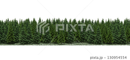 tree, isolated, branch, large, nature, plant, background, garden, forest, stem, summer, transparent, green, environment, foliage, shadow, big, leaf, season, wood, object, natural, single, silhouette, tree, isolated, branch, large, nature, plant, background, garden, forest, stem, summer, transparent, green, environment, foliage, shadow, big, leaf, season, wood, object, natural, single, silhouette, 130954554