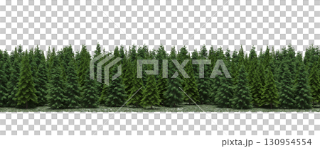 tree, isolated, branch, large, nature, plant, background, garden, forest, stem, summer, transparent, green, environment, foliage, shadow, big, leaf, season, wood, object, natural, single, silhouette, tree, isolated, branch, large, nature, plant, background, garden, forest, stem, summer, transparent, green, environment, foliage, shadow, big, leaf, season, wood, object, natural, single, silhouette, 130954554