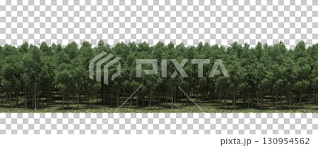 tree, isolated, branch, large, nature, plant, background, garden, forest, stem, summer, transparent, green, environment, foliage, shadow, big, leaf, season, wood, object, natural, single, silhouette, tree, isolated, branch, large, nature, plant, background, garden, forest, stem, summer, transparent, green, environment, foliage, shadow, big, leaf, season, wood, object, natural, single, silhouette, 130954562