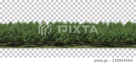 tree, isolated, branch, large, nature, plant, background, garden, forest, stem, summer, transparent, green, environment, foliage, shadow, big, leaf, season, wood, object, natural, single, silhouette, tree, isolated, branch, large, nature, plant, background, garden, forest, stem, summer, transparent, green, environment, foliage, shadow, big, leaf, season, wood, object, natural, single, silhouette, 130954564