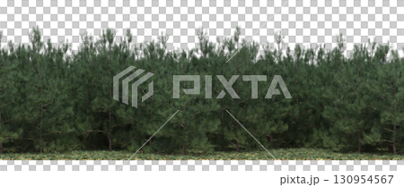 tree, isolated, branch, large, nature, plant, background, garden, forest, stem, summer, transparent, green, environment,  foliage, shadow, big, leaf, season, wood, object, natural, single, silhouette, 130954567