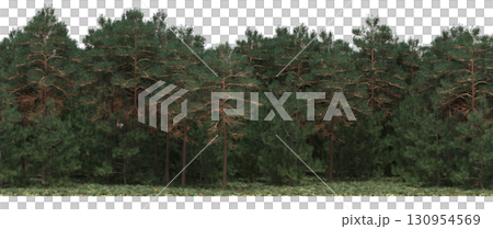 tree, isolated, branch, large, nature, plant, background, garden, forest, stem, summer, transparent, green, environment, foliage, shadow, big, leaf, season, wood, object, natural, single, silhouette, tree, isolated, branch, large, nature, plant, background, garden, forest, stem, summer, transparent, green, environment, foliage, shadow, big, leaf, season, wood, object, natural, single, silhouette, 130954569