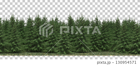 tree, isolated, branch, large, nature, plant, background, garden, forest, stem, summer, transparent, green, environment,  foliage, shadow, big, leaf, season, wood, object, natural, single, silhouette, 130954571