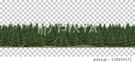 tree, isolated, branch, large, nature, plant, background, garden, forest, stem, summer, transparent, green, environment,  foliage, shadow, big, leaf, season, wood, object, natural, single, silhouette, 130954572