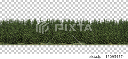 tree, isolated, branch, large, nature, plant, background, garden, forest, stem, summer, transparent, green, environment,  foliage, shadow, big, leaf, season, wood, object, natural, single, silhouette, 130954574