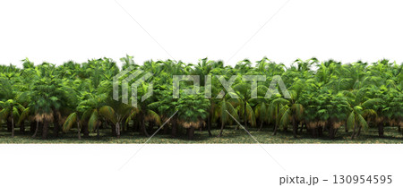 tree, isolated, branch, large, nature, plant, background, garden, forest, stem, summer, transparent, green, environment,  foliage, shadow, big, leaf, season, wood, object, natural, single, silhouette, 130954595