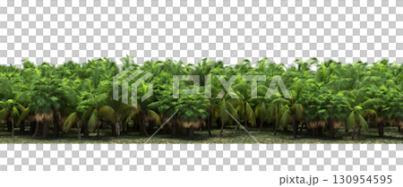 tree, isolated, branch, large, nature, plant, background, garden, forest, stem, summer, transparent, green, environment,  foliage, shadow, big, leaf, season, wood, object, natural, single, silhouette, 130954595