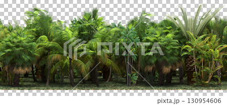 tree, isolated, branch, large, nature, plant, background, garden, forest, stem, summer, transparent, green, environment,  foliage, shadow, big, leaf, season, wood, object, natural, single, silhouette, 130954606