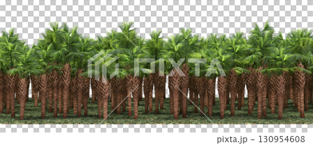 tree, isolated, branch, large, nature, plant, background, garden, forest, stem, summer, transparent, green, environment, foliage, shadow, big, leaf, season, wood, object, natural, single, silhouette, tree, isolated, branch, large, nature, plant, background, garden, forest, stem, summer, transparent, green, environment, foliage, shadow, big, leaf, season, wood, object, natural, single, silhouette, 130954608