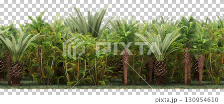 tree, isolated, branch, large, nature, plant, background, garden, forest, stem, summer, transparent, green, environment, foliage, shadow, big, leaf, season, wood, object, natural, single, silhouette, tree, isolated, branch, large, nature, plant, background, garden, forest, stem, summer, transparent, green, environment, foliage, shadow, big, leaf, season, wood, object, natural, single, silhouette, 130954610