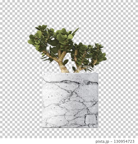 decorative flower in a pot isolate on a transparent background, 3D illustration, cg render 130954723