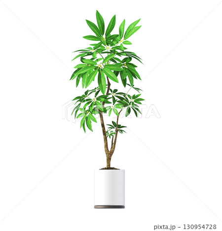 decorative flower in a pot isolate on a transparent background, 3D illustration, cg render 130954728