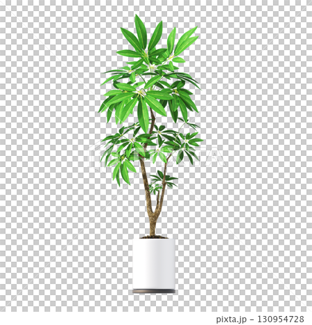 decorative flower in a pot isolate on a transparent background, 3D illustration, cg render 130954728