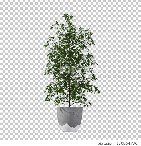 decorative flower in a pot isolate on a transparent background, 3D illustration, cg render 130954730