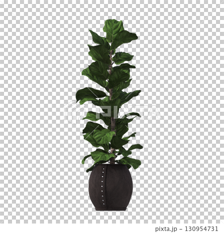 decorative flower in a pot isolate on a transparent background, 3D illustration, cg render decorative flower in a pot isolate on a transparent background, 3D illustration, cg render 130954731