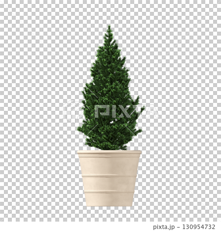 decorative flower in a pot isolate on a transparent background, 3D illustration, cg render decorative flower in a pot isolate on a transparent background, 3D illustration, cg render 130954732