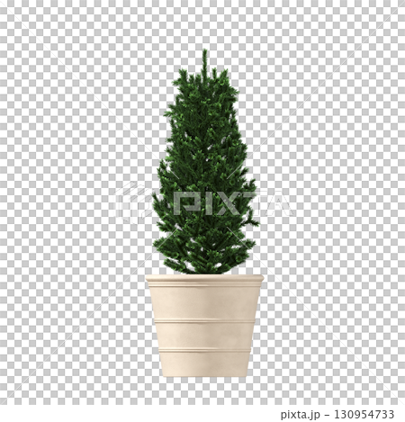 decorative flower in a pot isolate on a transparent background, 3D illustration, cg render decorative flower in a pot isolate on a transparent background, 3D illustration, cg render 130954733