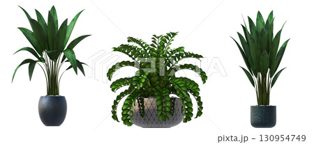 decorative flower in a pot isolate on a transparent background, 3D illustration, cg render 130954749