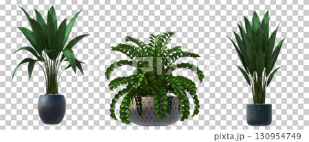 decorative flower in a pot isolate on a transparent background, 3D illustration, cg render 130954749