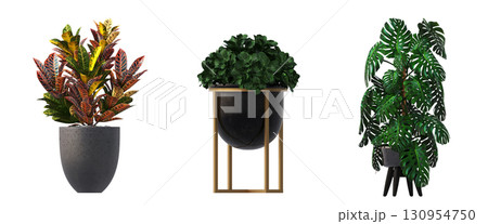 decorative flower in a pot isolate on a transparent background, 3D illustration, cg render 130954750