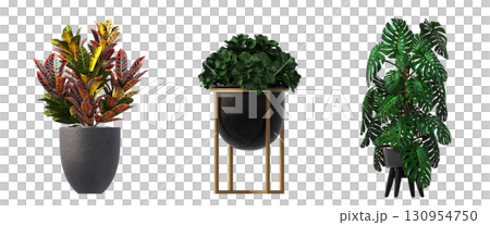 decorative flower in a pot isolate on a transparent background, 3D illustration, cg render 130954750