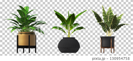 decorative flower in a pot isolate on a transparent background, 3D illustration, cg render decorative flower in a pot isolate on a transparent background, 3D illustration, cg render 130954758