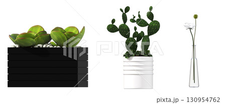 decorative flower in a pot isolate on a transparent background, 3D illustration, cg render 130954762