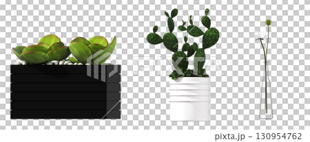 decorative flower in a pot isolate on a transparent background, 3D illustration, cg render 130954762