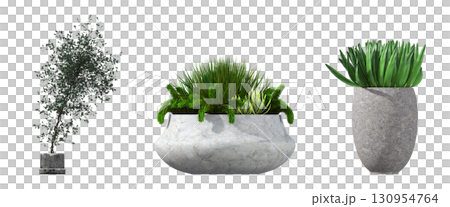 decorative flower in a pot isolate on a transparent background, 3D illustration, cg render 130954764
