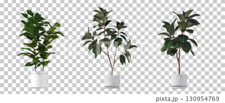 decorative flower in a pot isolate on a transparent background, 3D illustration, cg render decorative flower in a pot isolate on a transparent background, 3D illustration, cg render 130954769