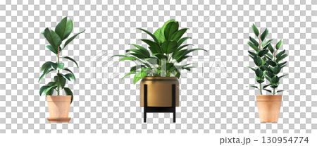 decorative flower in a pot isolate on a transparent background, 3D illustration, cg render 130954774