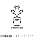 Photosynthesis outline icon. Thin line icon from education collection. 130954777