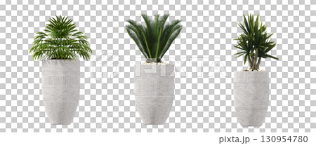 decorative flower in a pot isolate on a transparent background, 3D illustration, cg render 130954780
