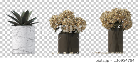 decorative flower in a pot isolate on a transparent background, 3D illustration, cg render 130954784