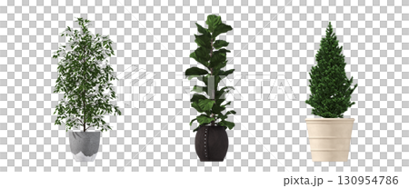 decorative flower in a pot isolate on a transparent background, 3D illustration, cg render 130954786