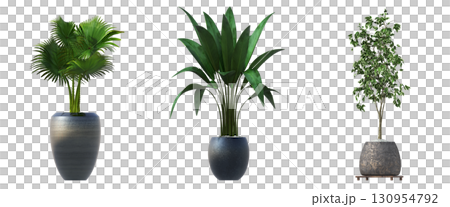 decorative flower in a pot isolate on a transparent background, 3D illustration, cg render decorative flower in a pot isolate on a transparent background, 3D illustration, cg render 130954792