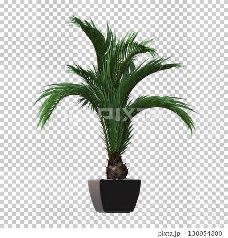 decorative flower in a pot isolate on a transparent background, 3D illustration, cg render decorative flower in a pot isolate on a transparent background, 3D illustration, cg render 130954800