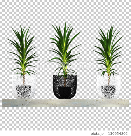 decorative flower in a pot isolate on a transparent background, 3D illustration, cg render decorative flower in a pot isolate on a transparent background, 3D illustration, cg render 130954802