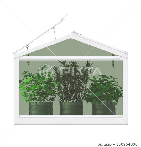 decorative flower in a pot isolate on a transparent background, 3D illustration, cg render 130954808