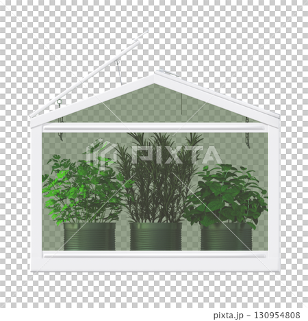 decorative flower in a pot isolate on a transparent background, 3D illustration, cg render 130954808