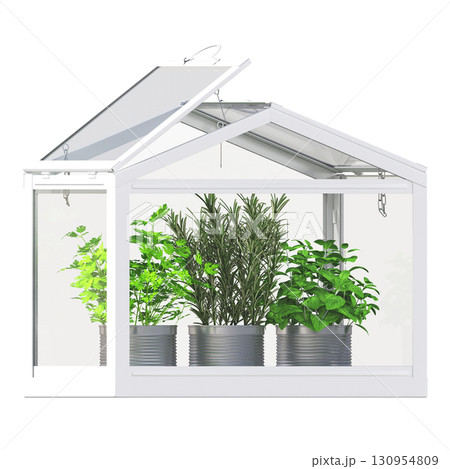 decorative flower in a pot isolate on a transparent background, 3D illustration, cg render 130954809